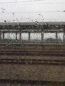 穿越70年代，我在东北飒疯了